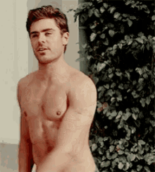 Cámaras de chicos sexys